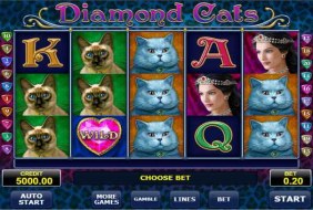 Diamond Cats  -  Amatic